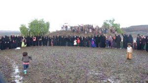 13016601_283454241986387_978428122_o