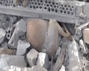 13906823_1561639420809762_7127480759980651081_n