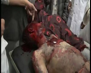 14269507_355295344802276_1099392774_n