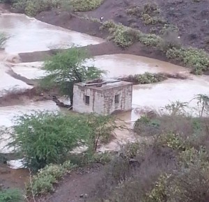 b9dc0f31-ebdd-4b27-b7fc-a827e9570e57