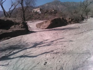 e2d53084-d7f0-46b0-8515-78337eb2eb89