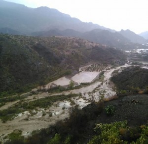 fa43fdd7-d1da-45c6-84dc-5e9287b6ed50