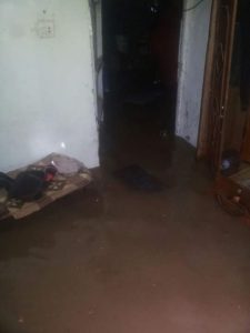 01225d4f-1168-4e96-92f9-39b6a224c8dd