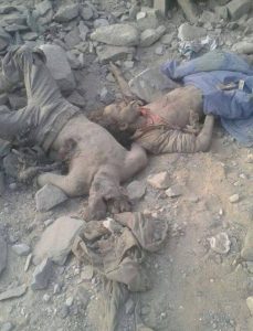 13487882_1546302275676810_2098498678_n