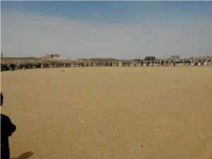 13872584_333965713601906_1591610910_n