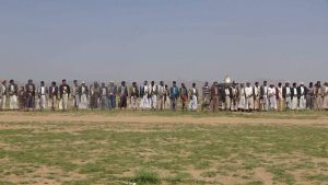 14060233_345402999124844_74541957_o