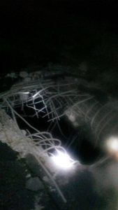 14101627_1204959392909149_1146378779_n