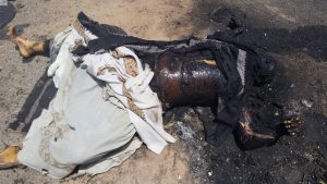 14124164_349832118681932_2092601736_o