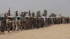 14248908_355319758133168_1964360177_n