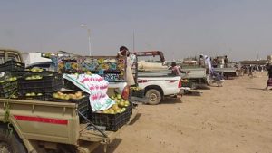 14256250_355319701466507_522763538_n