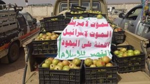 14256446_355319684799842_2007547187_n