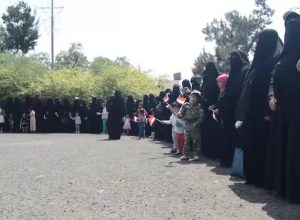 14256692_354268344904976_1751509441_n