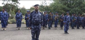 14360520_358837137781430_356761403_o