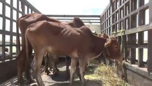 14440914_1577923465848024_4572833082311472944_n