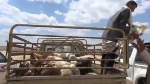 14441220_1577923455848025_564567188327486025_n