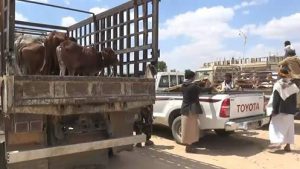 14449046_1577923475848023_2941043731779596515_n