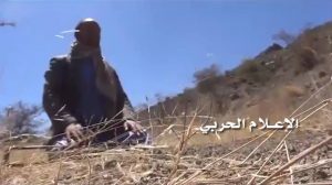 Great Victories in the Battlefronts Border of Taiz