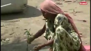 بالفيديو.. سكان مدينة الدريهمي المحاصرة يأكلون أوراق الشجر من شدة الجوع