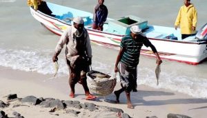 جمعية ساحل تهامة تحمل الأمم المتحدة مسؤولية صمتها تجاه اختطاف ومعاناة الصيادين