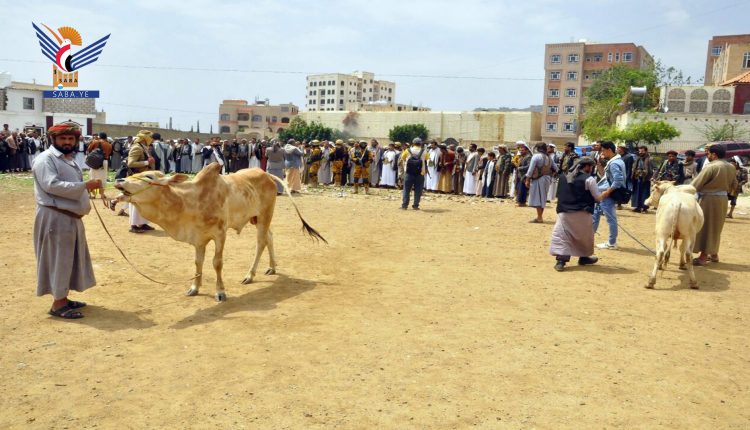 صلح قبلي ينهي قضية قتل بين آل القرعفي والموقلي بمحافظة صنعاء 3