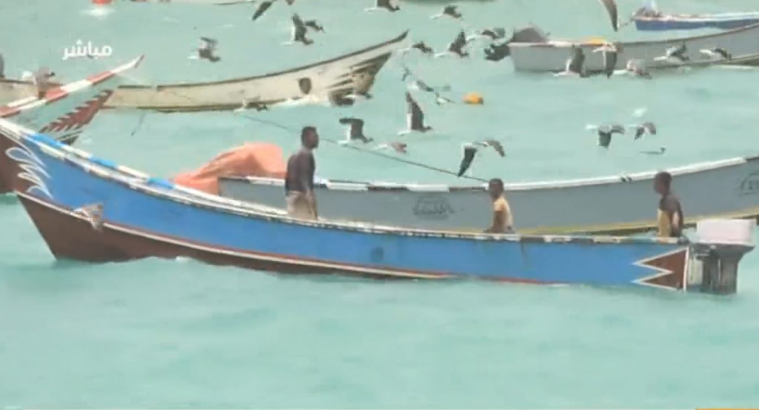 الثروة السمكية تدين ما يتعرض له الصيادون في المحافظات المحتلة من امتهان ونهب لمعداتهم