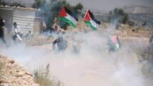 إصابة 7 فلسطينيين برصاص الاحتلال الصهيوني في قلقيلية