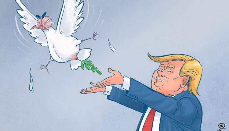كاريكاتير.. ترامب يطلق دجاجة السلام في غزة