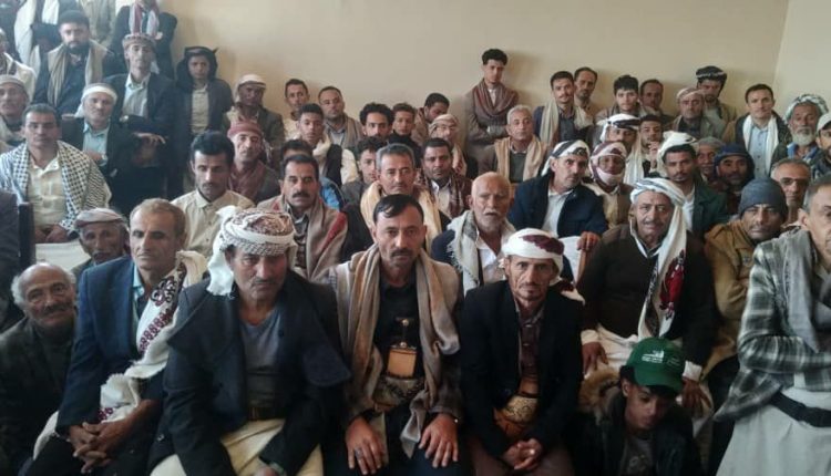 photo_2025-11-25_11-42-20