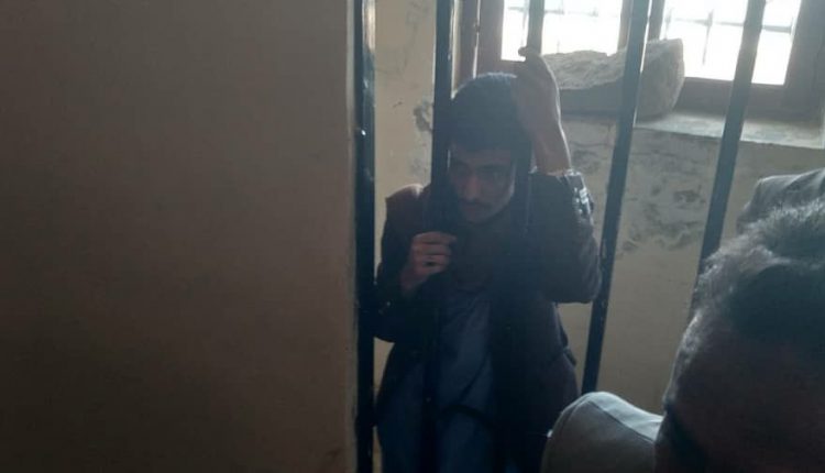 photo_2025-11-25_11-42-33