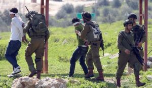 قوات الاحتلال الصهيوني تعتقل 12 فلسطينين بينهم إمرأة