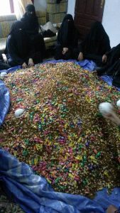 %d9%82%d8%a7%d9%81%d9%84%d8%a9-%d8%b5%d8%b9%d8%af%d8%a9-%d8%a7%d9%84%d9%82%d8%af%d9%8a%d9%85%d8%a92