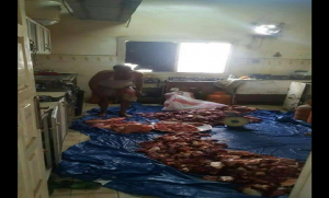فضيحة زلزلت مارب: قيادي مرتزق يقدم لزبائنه كبسات لحم الكلاب والحمير “صور”